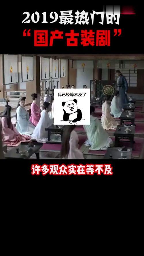 最热国产剧解说视频大全,最热解说视频大全